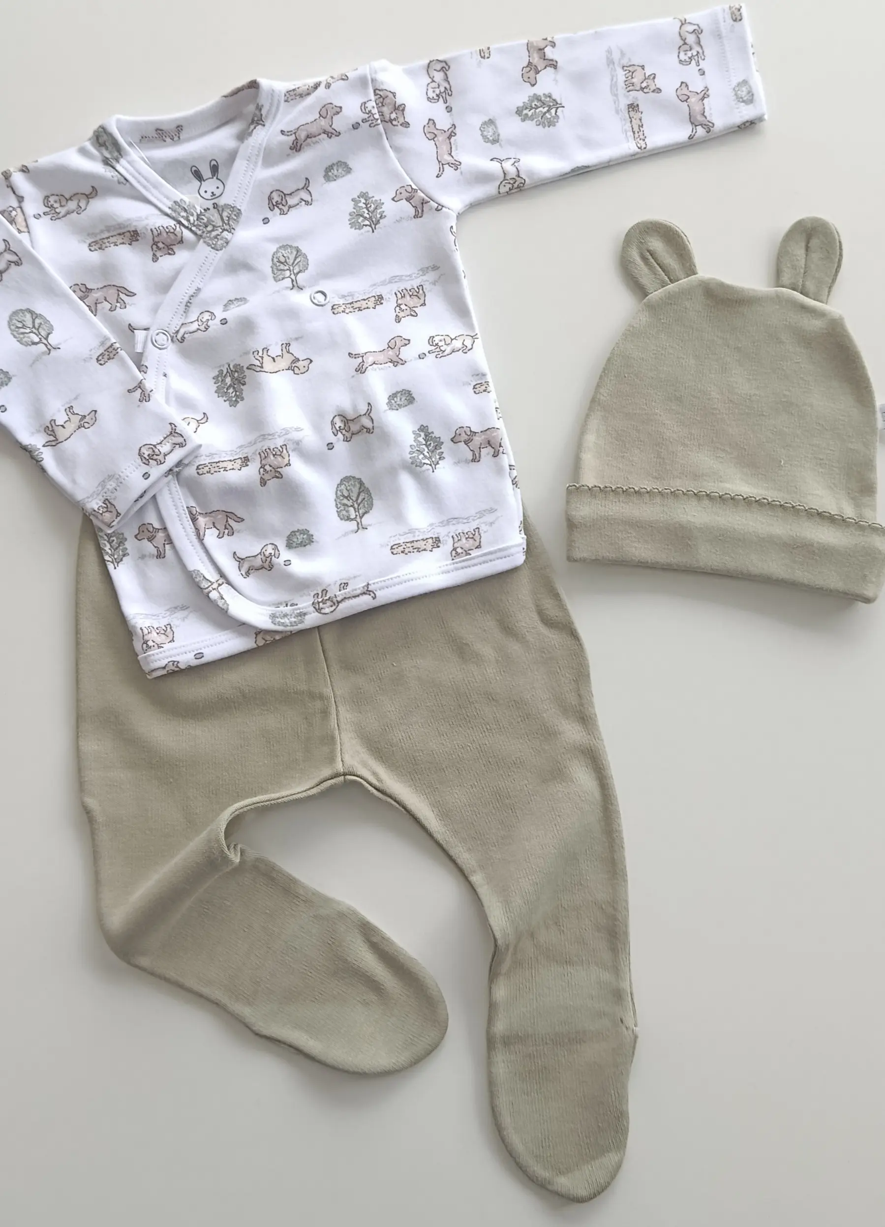 Set Perrito